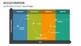 Acculturation Process: Typical Stages - Slide 1