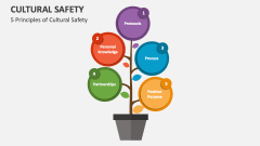 5 Principles of Cultural Safety - Slide 1