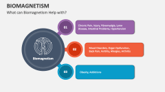 What can Biomagnetism Help with? - Slide 1
