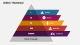 Birds Triangle - Slide 2