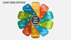 Chief Data Officer - Slide 1