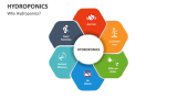 Why Hydroponics? - Slide 2