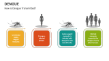 How is Dengue Transmitted? - Slide 1