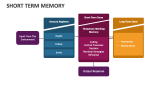 Short Term Memory - Slide 1