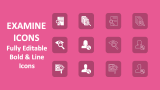 Examine Icons - Slide 1