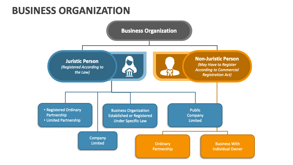 business organization presentation