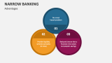 Advantages of Narrow Banking - Slide 4