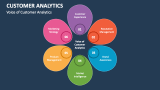Voice of Customer Analytics - Slide 3