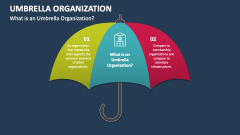 What is an Umbrella Organization? - Slide 1