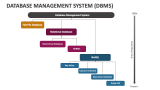 Database Management System (DBMS) - Slide 10