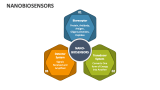 Nanobiosensors - Slide 5