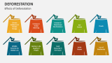 Effects of Deforestation - Slide 2