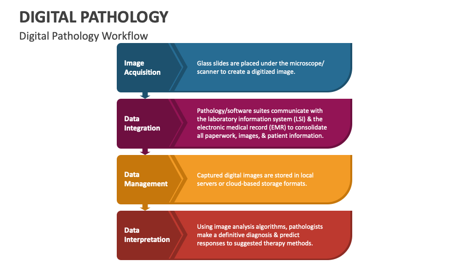 Digital Pathology PowerPoint Presentation Slides PPT Template Digital Pathology PowerPoint Presentation Slides PPT Template
