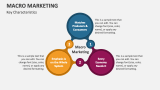 Key Characteristics of Macro Marketing - Slide 4