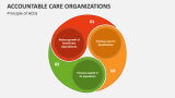 Principle of Accountable Care Organizations - Slide 5