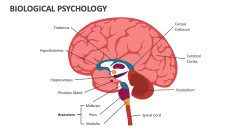 Biological Psychology - Slide 1