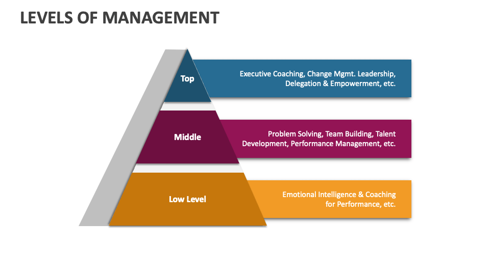 essay on levels of management
