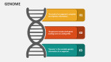 Genome - Slide 2