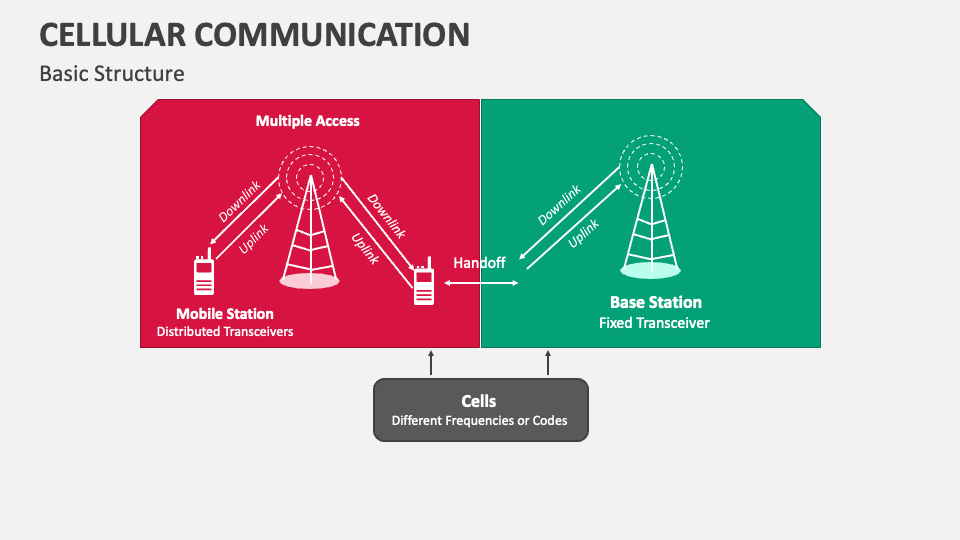 Cellular Communication PowerPoint and Google Slides Template - PPT Slides