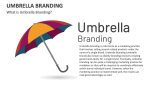 What is Umbrella Branding? - Slide 1