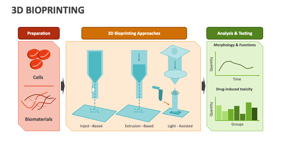 3d Bioprinting Powerpoint And Google Slides Template Ppt Slides 3d Bioprinting Powerpoint And Google Slides Template Ppt Slides