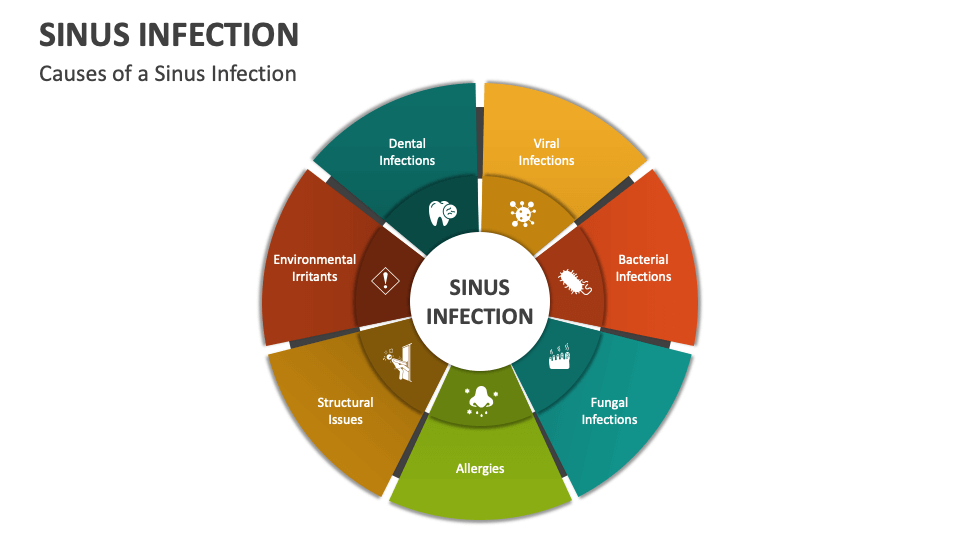 Sinus Infection PowerPoint and Google Slides Template - PPT Slides