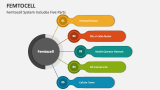 Femtocell System Includes Five Parts - Slide 4