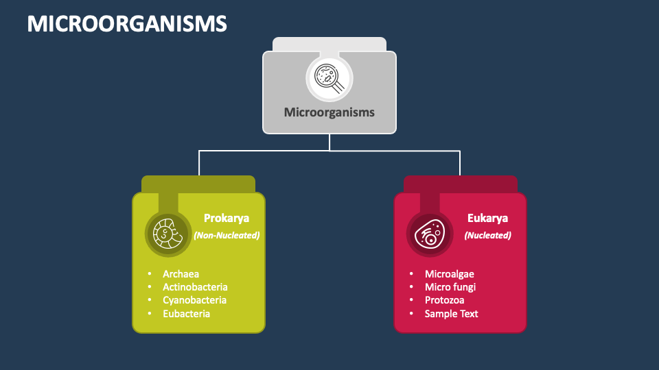 PowerPoint Presentation Slides PPT Template