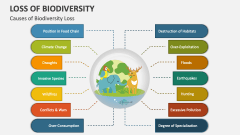 Causes of Biodiversity Loss - Slide 1