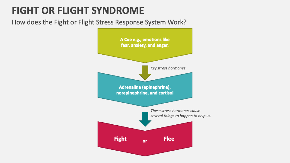 Fight or Flight Syndrome PowerPoint and Google Slides Template PPT Slides