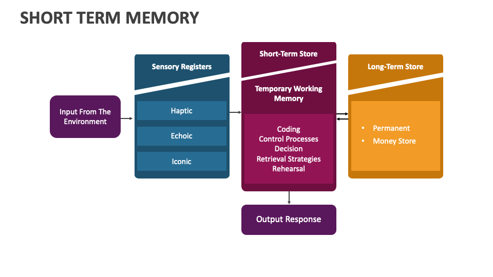 Short Term Memory PowerPoint and Google Slides Template PPT Slides