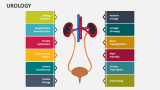 Urology - Slide 2