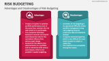 Advantages and Disadvantages of Risk Budgeting - Slide 5