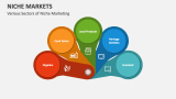 Various Sectors of Niche Marketing - Slide 3
