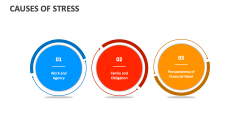 Causes of Stress - Slide 1