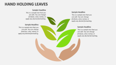 Hand Holding Leaves - Slide 1