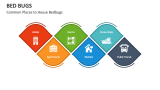Common Places to House Bedbugs - Slide 3