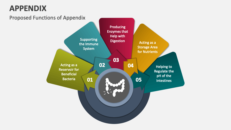 appendix presentation slide