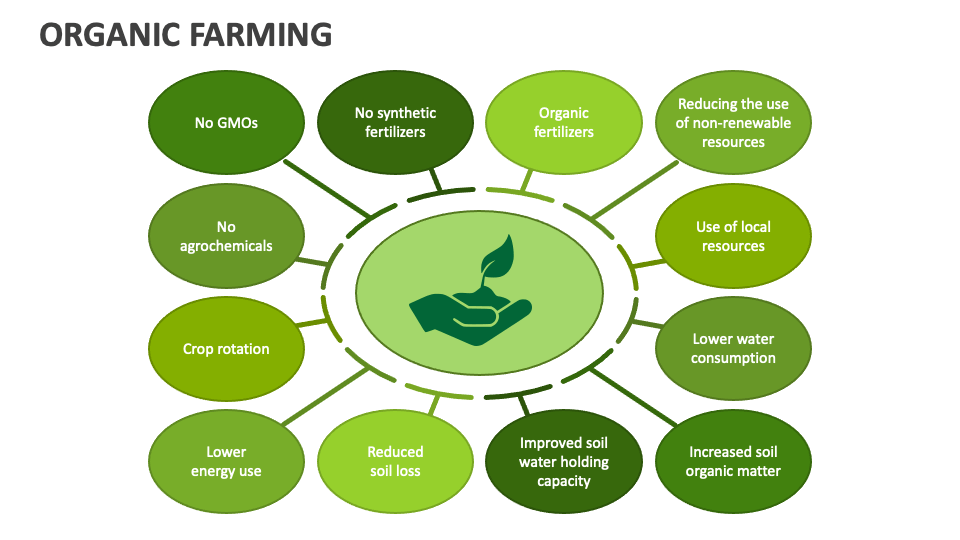 business plan for organic farm