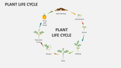 Plant Life Cycle - Slide 1