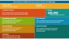 Business Proposal Executive Summary - Slide 1