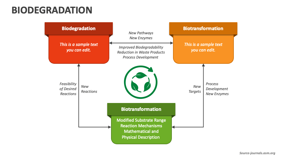 Biodegradation PowerPoint Presentation Slides PPT Template