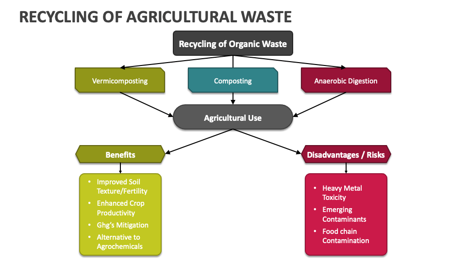 Recycling of Agricultural Waste PowerPoint Presentation Slides PPT