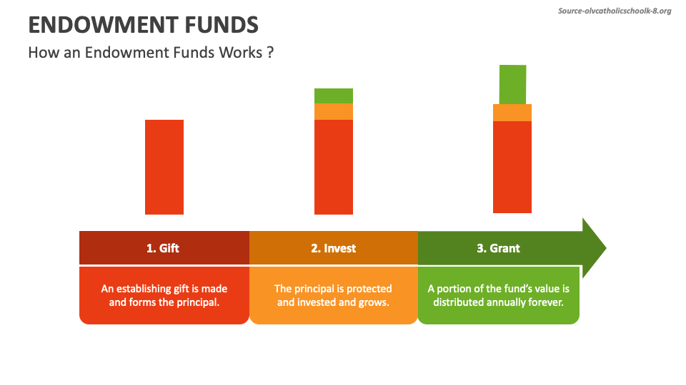 Endowment Funds PowerPoint and Google Slides Template PPT Slides