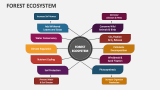 Forest Ecosystem - Slide 1