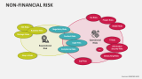 Non Financial Risk - Slide 4