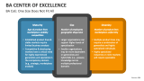 BA Center of Excellence: One Size Does Not Fit All - Slide 2