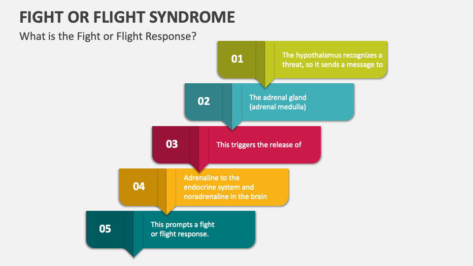 Fight or Flight Syndrome PowerPoint and Google Slides Template PPT Slides