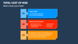 What is Total Cost of Risk? - Slide 2