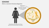 What is a Genome? (Female Infographic) - Slide 1